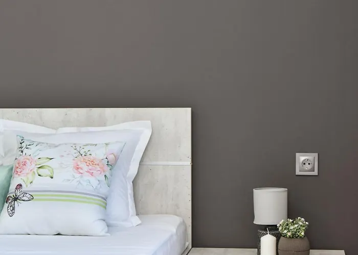 招待所 Kaleya House 3*